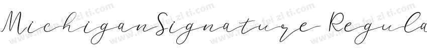 MichiganSignature Regular字体转换